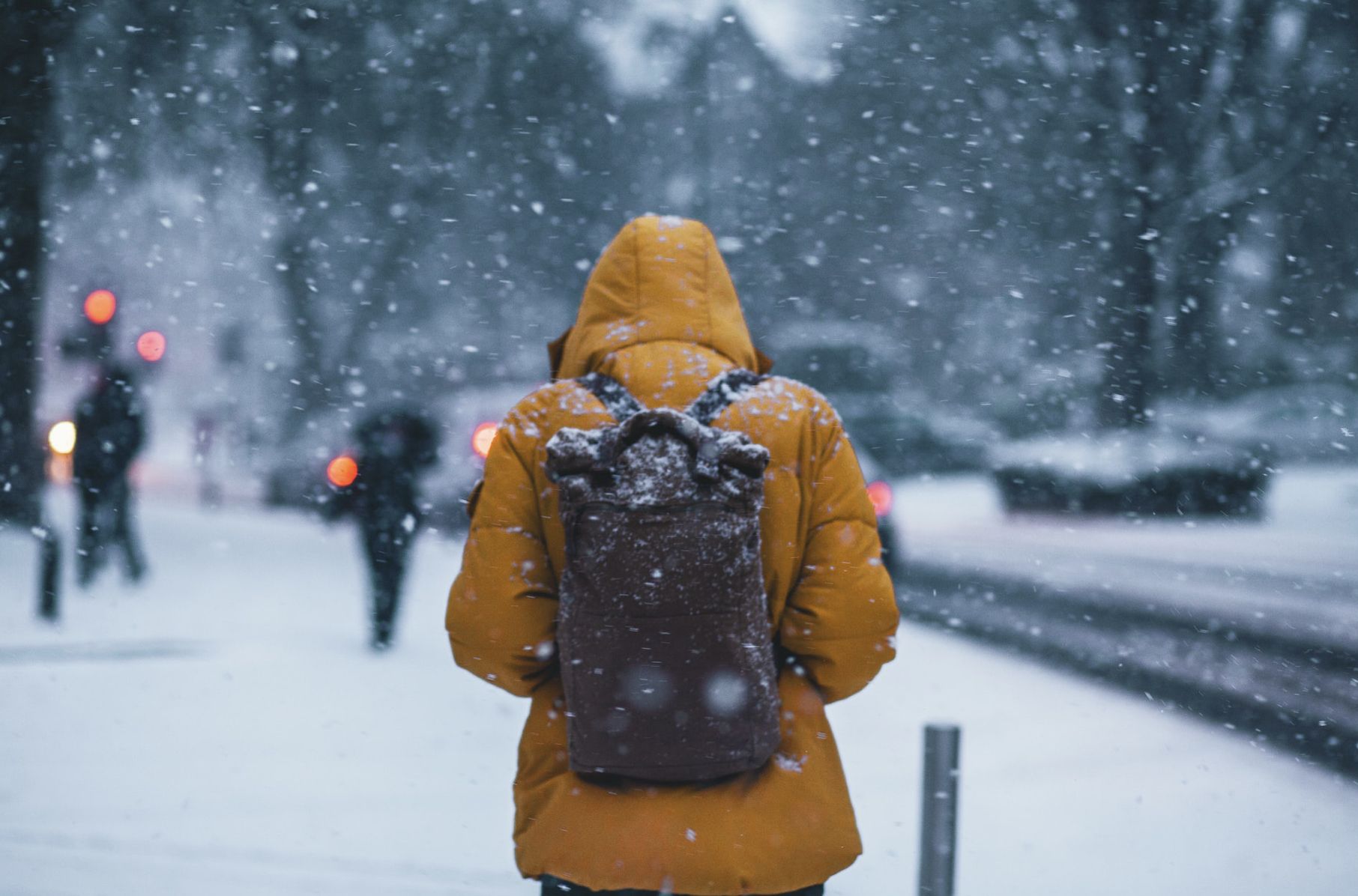 多伦多或将迎来“白色万圣节”，第一场降雪要来了？
