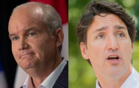 特鲁多宣布9月20日大选！民调结果出炉，加拿大人更信任谁？