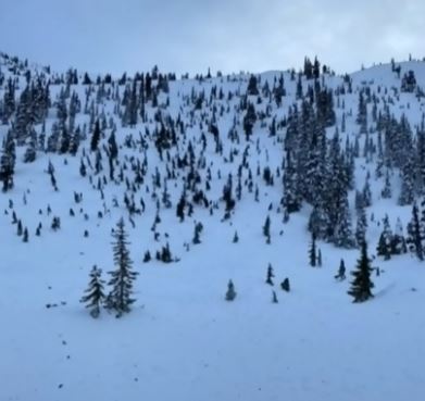 加拿大滑雪胜地附近发生雪崩！多人被埋1人死亡